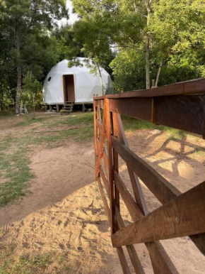 ALF Dome Peacefull between forest and sea